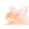 The Male Muse Livre photo INSPIRO n°3